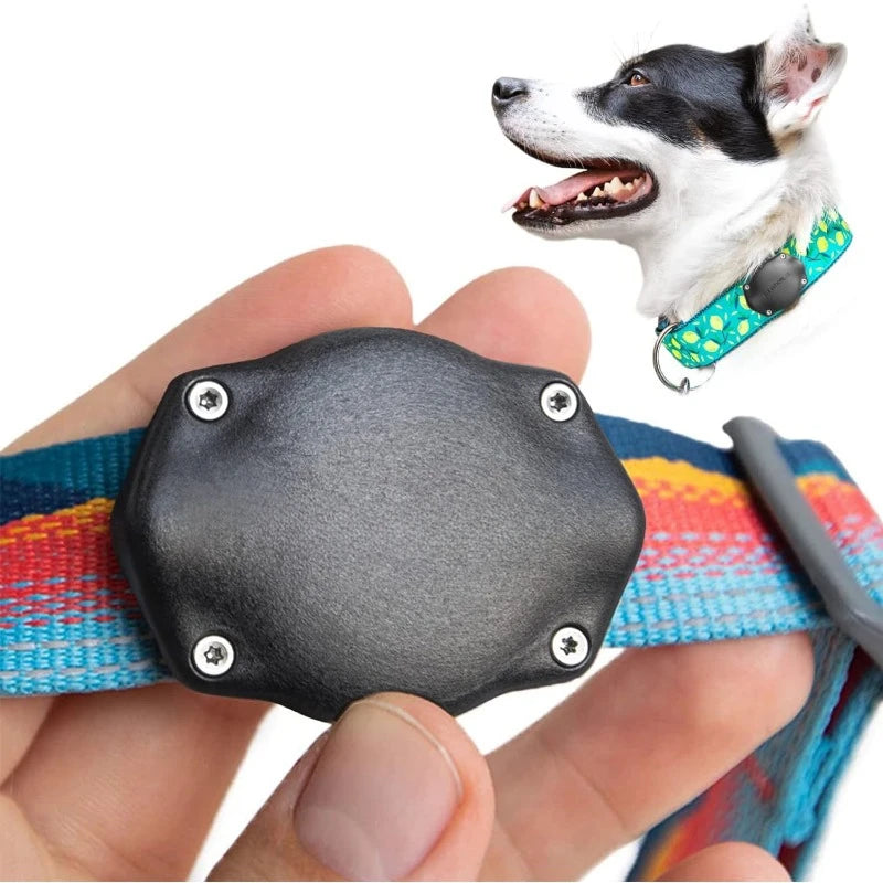 Dog collar installation (single) - IP69 waterproof, won't shake, suitable for collars of all widths,