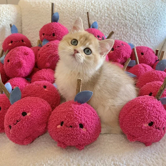Plush Cat Toy Silvervine Cat Grinding Toys for Interactive Fun