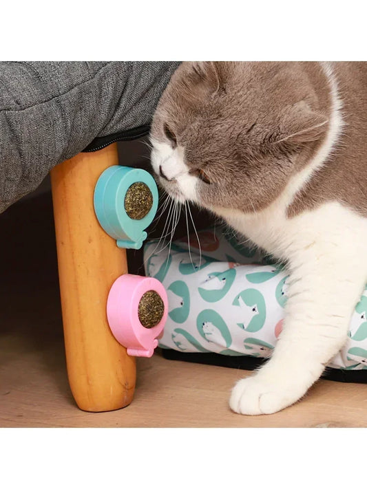 Licking Treats Supplies Ball Catnip Ball Pet Wall Spherical Cat Ball Kitten Wall Cleaning Rotatable Catnip Licking Toy Teeth