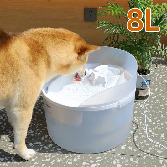 NPET 2 Gallon White Dog Water Fountain For Large Medium Dogs - Quick and EZ Shop