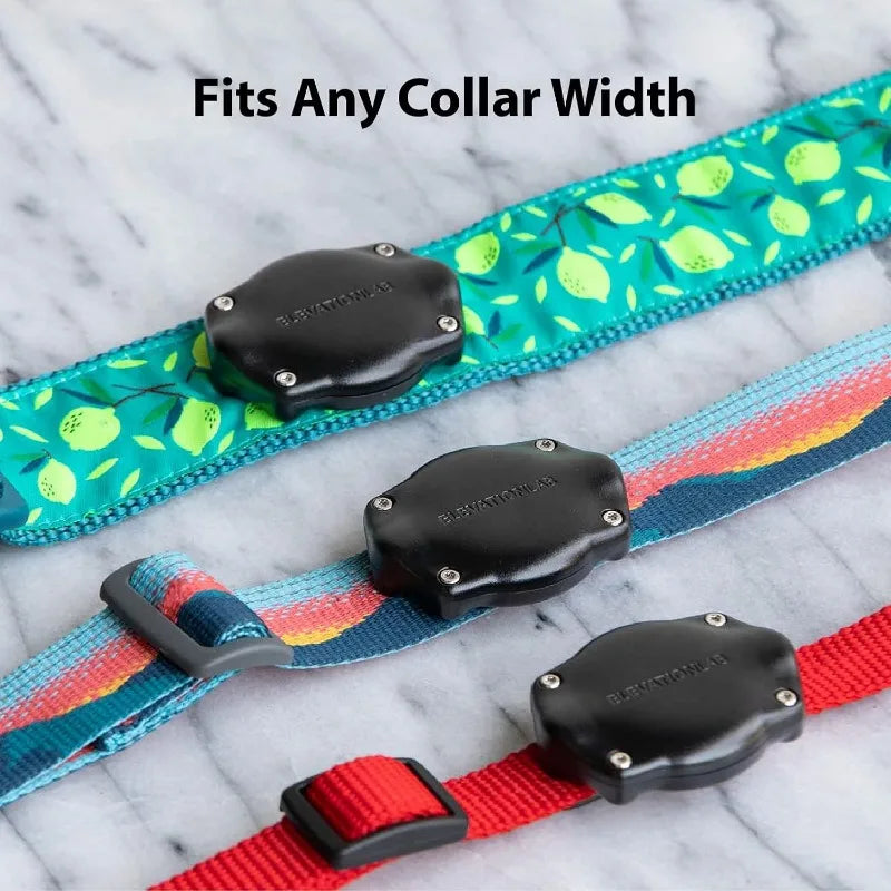 Dog collar installation (single) - IP69 waterproof, won't shake, suitable for collars of all widths,