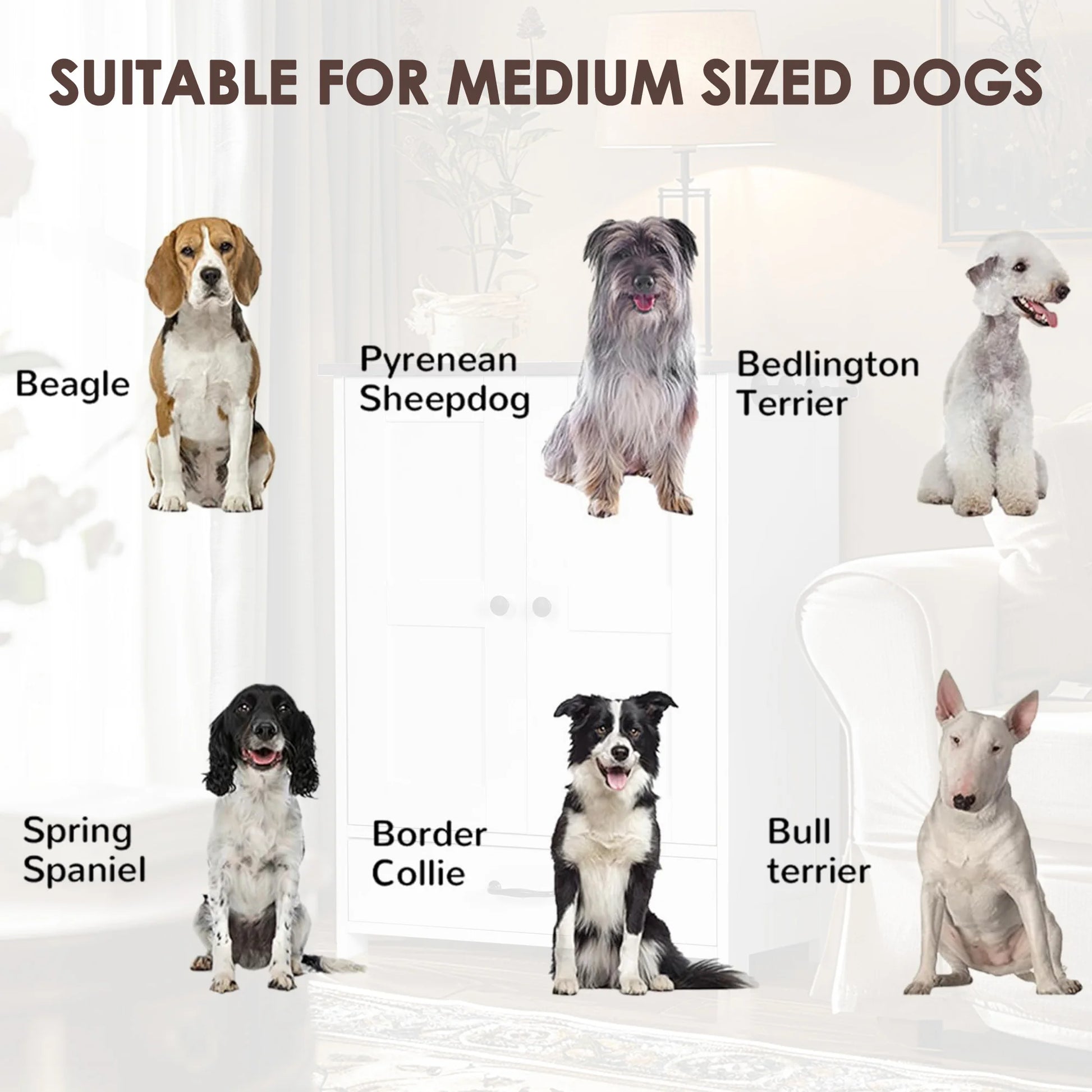 Pet Feeding Station Food Storage Cabinet with 3pcs Hooks Hidden Detachable Stainless Steels Dog Bowls for Medium Sized Dogs - Quick and EZ Shop