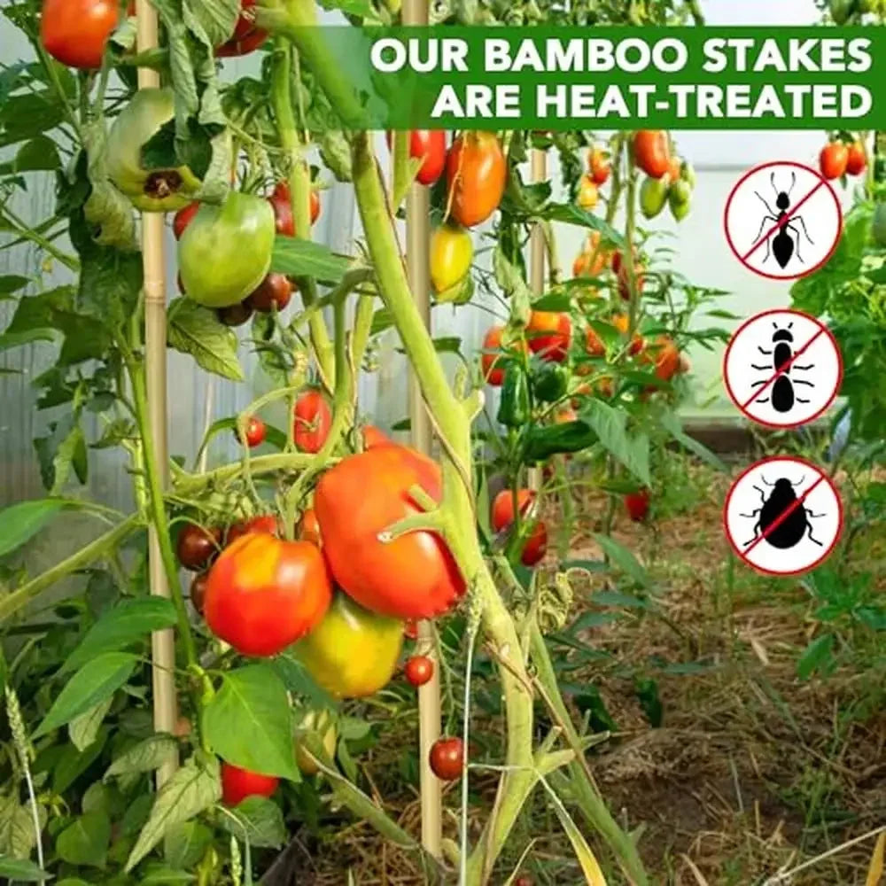 60-Pack 4ft Bamboo Plant Stakes Garden Support Climbing Tomatoes Sunflowers Stick Plants Bamboo Support Pole Plants Grow Pot