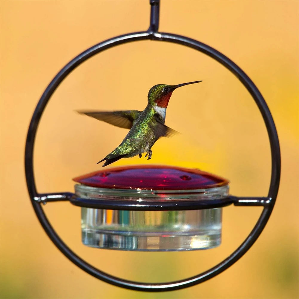 Hummingbird Drinker Feeder with Red Glass Bowl Outdoor Humming Bird Feeder Attract Birds for Outside Garden Backyard Patio Deck