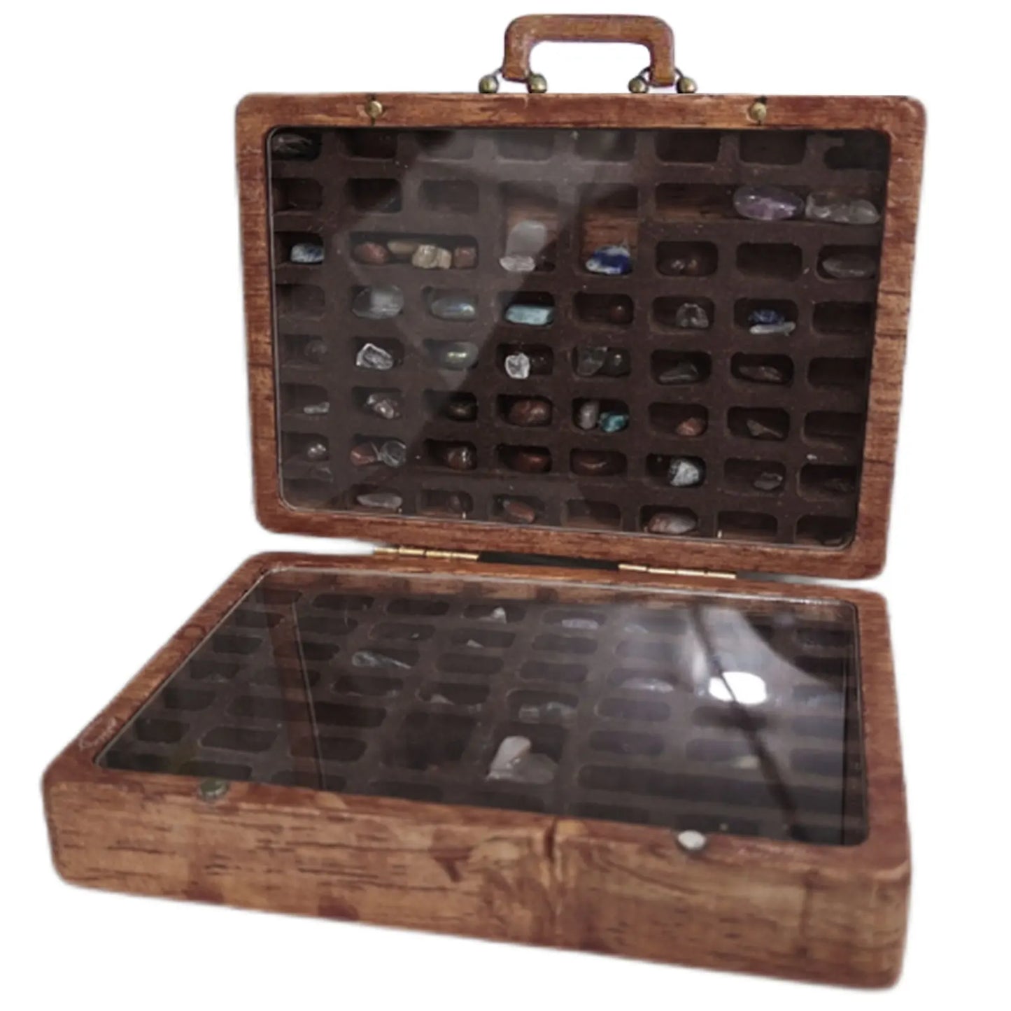 Stone Collection Suitcase Rock Collection Box for Kids Rock and Mineral Kit Gemstones and Crystals 33 Pcs Rock & Mineral Collect