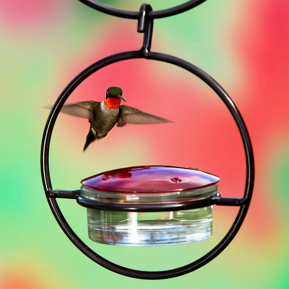 Hummingbird Drinker Feeder with Red Glass Bowl Outdoor Humming Bird Feeder Attract Birds for Outside Garden Backyard Patio Deck