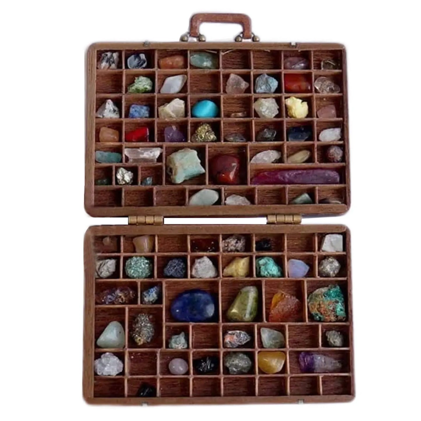 Stone Collection Suitcase Rock Collection Box for Kids Rock and Mineral Kit Gemstones and Crystals 33 Pcs Rock & Mineral Collect